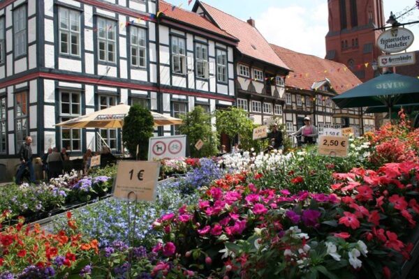 Nienburg_Germany1 (2)